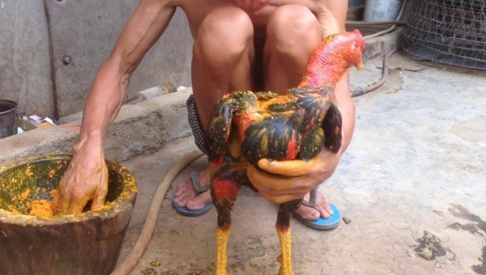 Một số chú ý cần nắm khi vần chiến kê