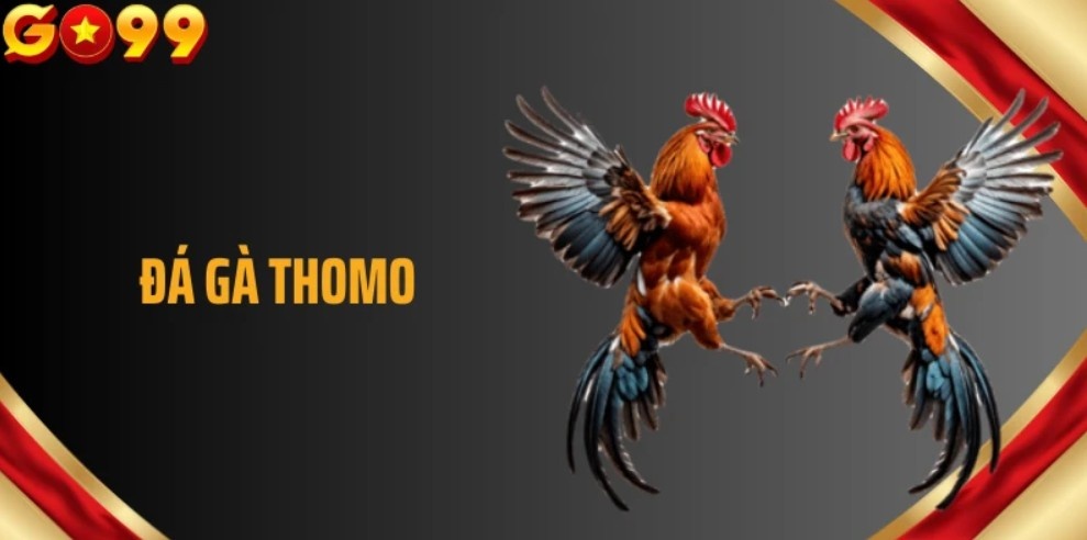 Sức hút nổi bật của sảnh cược trực tuyến